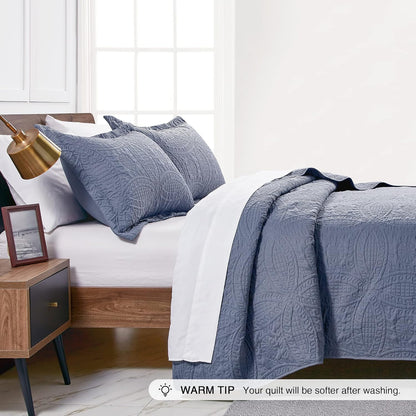 Gelbchu Quilts for Queen Bed Blue Bedspreads - Soft Bed Summer Lightweight Bedspread Comforter - Modern Style Coin Pattern Coverlet for All Season - 3 Pieces (1 Quilt, 2 Pillow Shams)